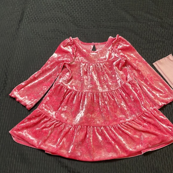 Cat & Jack Velour Pink Top  Size US XS (3T) and Old Navy pink Tights size 4T - Picture 4 of 15